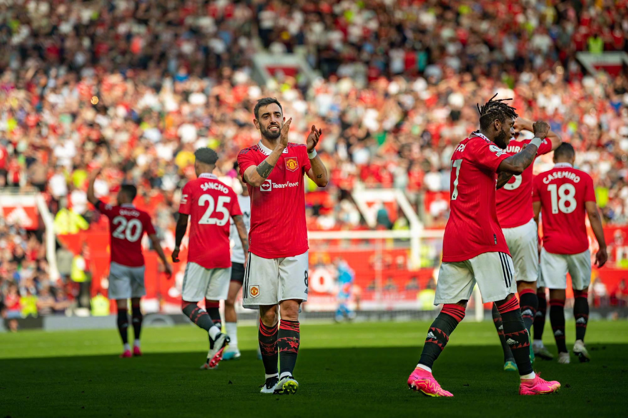 仿佛早已预 仿佛早已预